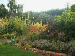 The original garden at The Butterfly Garden. A project for people of all ages dealing with disablement of any kind.