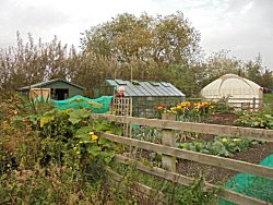 The Allotment at The Butterfly Garden. A project for people of all ages dealing with disablement of any kind.