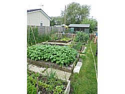 The Allotment at The Butterfly Garden. A project for people of all ages dealing with disablement of any kind.