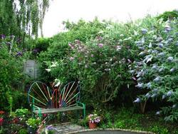The original garden at The Butterfly Garden. A project for people of all ages dealing with disablement of any kind.